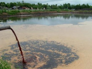 Pollution de la rivière Thi Vai par la compagnie Vedan